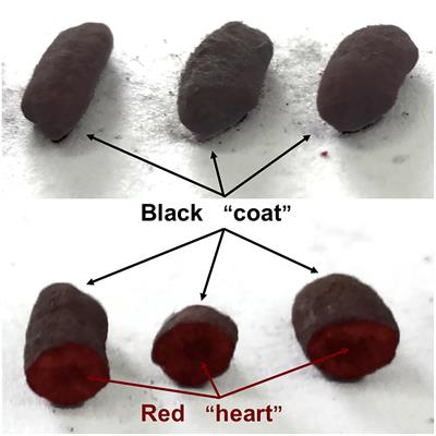 Cocultivation Study of <mark class="highlighted">Monascus</mark> spp. and Aspergillus niger Inspired From Black-Skin-Red-Koji by a Double-Sided Petri Dish